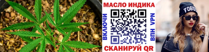 где продают   Камызяк  ТГК гашишное масло 