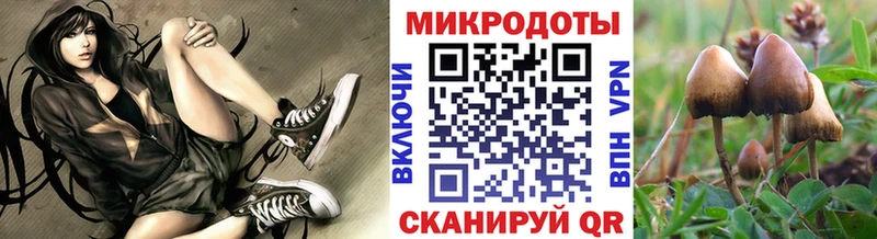 мега зеркало  Камызяк  Галлюциногенные грибы мицелий 